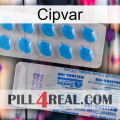Cipvar new15